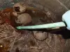Защо хората искат да пият сок от мумия