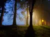 Призрачно село се появява и изчезва по необясними причини
