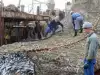 Акула случайно се оплете в мрежите им! Смъртта ѝ доведе до бунт