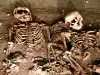 В Африка откриха липсващото звено с маймуната