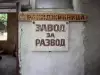 Тези куриозни снимки от България взривиха мрежата
