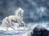 Само девственица може да опитоми еднорог