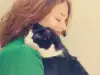 Коя е най-подходящата котка за теб?