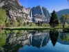 Спасени сме: НАСА ще гаси Йелоустоун с вода