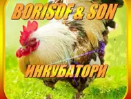 Инкубатори