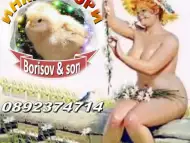 Инкубатори